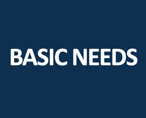 Text "Basic needs"